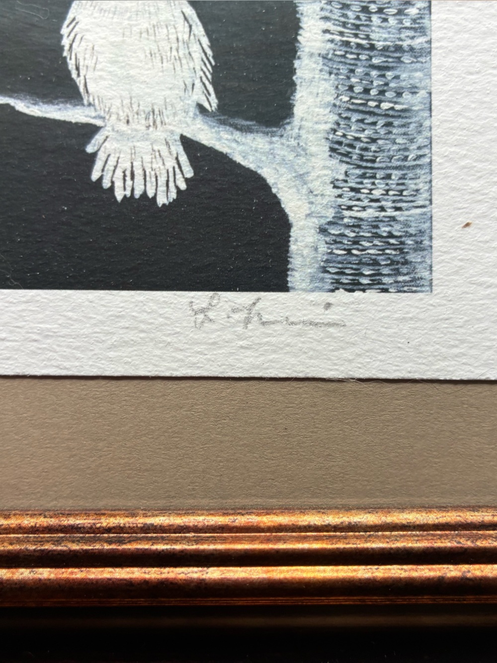 Framed Owl and Raven Print 🦉🦉🐦‍⬛🐦‍⬛ - Picture 6 of 7